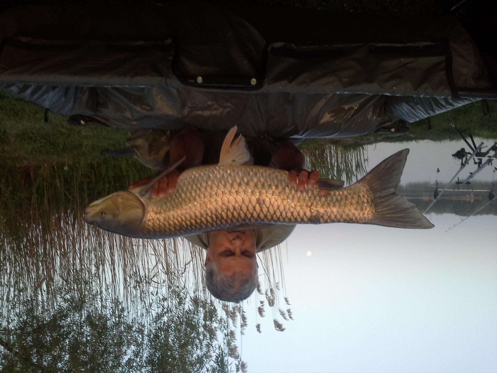 Pescuit la crap - 201304270622101.jpg